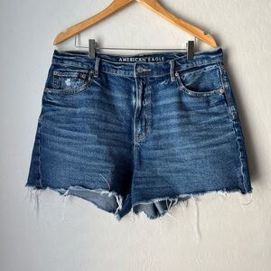 American Eagle Highest Rise 90s Boyfriend Shorts